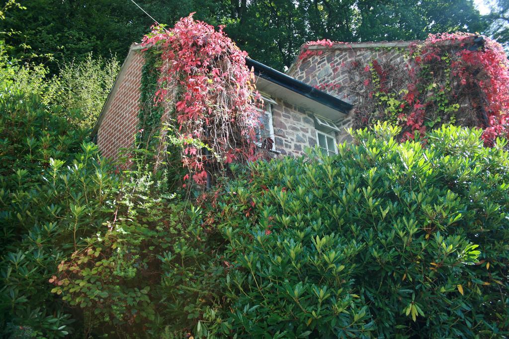 Hôtel The Bark House à Tiverton  Extérieur photo